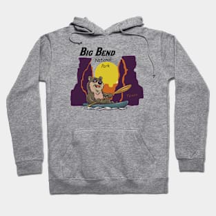 Big Bend National Park Cartoon Vintage Hoodie